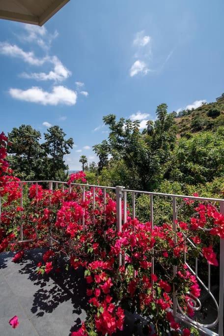 Stunning Hollywood Midcentury Modern-Views-Best Location! Los Angeles Exterior photo