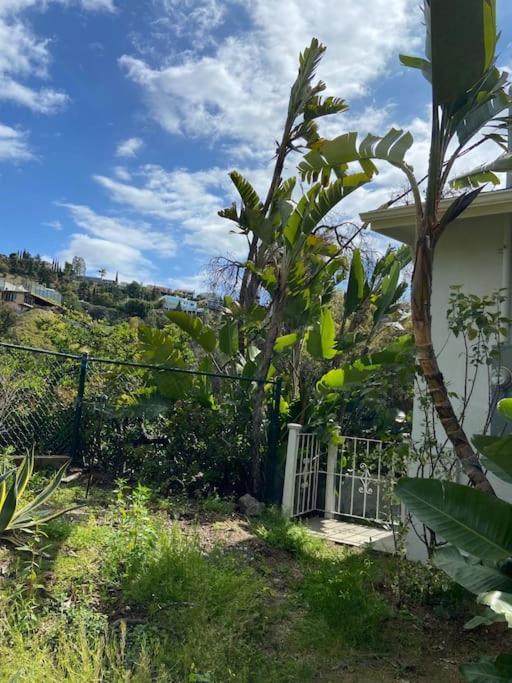 Stunning Hollywood Midcentury Modern-Views-Best Location! Los Angeles Exterior photo